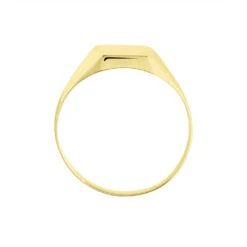 Chevalière Ayliz Or Jaune -Bijouterie Pas Chère B3HMJW0208 view2