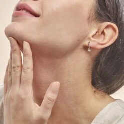 Boucles D'oreilles Pendantes Formev Or Bicolore Oxyde De Zirconium -Bijouterie Pas Chère B3OF2ZW007 model0