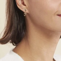Boucles D'oreilles Pendantes Fulvie Coeurs Et Dauphin Or Jaune -Bijouterie Pas Chère B3OFJW00CI model0
