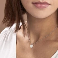 Collier Iella Argent Bicolore -Bijouterie Pas Chère FACF2W1001 model0