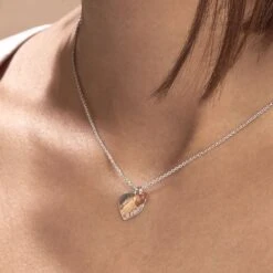 Collier Iella Argent Bicolore -Bijouterie Pas Chère FACF2W1001 model1