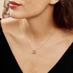 Collier Argent Bicolore Serapis Oxydes De Zirconium -Bijouterie Pas Chère FACF2ZW031 model0