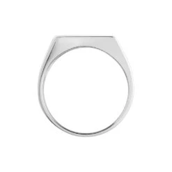 Chevalière Robin Argent Blanc -Bijouterie Pas Chère FAHHBW0356 view2