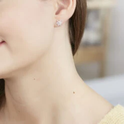 Boucles D'oreilles Puces Cyriac Argent Blanc Oxyde De Zirconium -Bijouterie Pas Chère FAOFBZW0PO model0