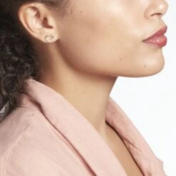 Boucles D'oreilles Puces Budenicus Argent Oxyde De Zirconium -Bijouterie Pas Chère FAOFBZW1QQ model0