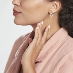 Boucles D'oreilles Pendantes Fabricius Argent Oxydes -Bijouterie Pas Chère FAOFBZW1RC model0