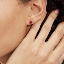 Boucles D'oreilles Kelvyn Argent Rose Oxyde -Bijouterie Pas Chère FAOFRZR008 model1