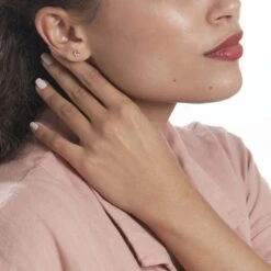 Boucles D'oreilles Puces Pavel Argent Rose Oxyde De Zirconium -Bijouterie Pas Chère FAOFRZS012 model0