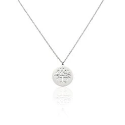 Collier Acier Blanc Ganet