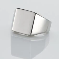 Chevaliere Acier Blanc Winebald -Bijouterie Pas Chère FIHHBW0144 view3