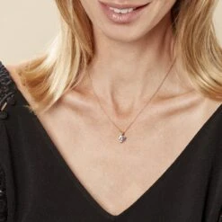 Collier Plaqué Or Caner Oxydes De Zirconium -Bijouterie Pas Chère FQCFJZW546 model0