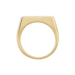 Chevalière Plaqué Hadrien Onyx -Bijouterie Pas Chère FQHHJNN116 view2