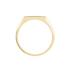 Chevalière Lionel Plaqué Or Jaune -Bijouterie Pas Chère FQHHJW0128 view2