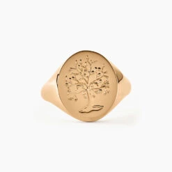 Chevalière Gautier Plaqué Or