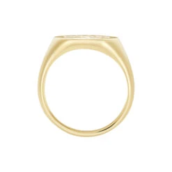 Chevalière Gautier Plaqué Or -Bijouterie Pas Chère FQHHJW0143 view2