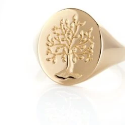 Chevalière Gautier Plaqué Or -Bijouterie Pas Chère FQHHJW0143 view3