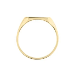 Chevalière Plaqué Or Jaune Alannis -Bijouterie Pas Chère FQHHJW0151 view2