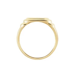 Chevalière Plaqué Or Jaune Eliseo -Bijouterie Pas Chère FQHHJW0154 view2