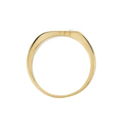 Chevalière Plaqué Or Jaune Alec Oxyde De Zirconium -Bijouterie Pas Chère FQHHJZW104 view2