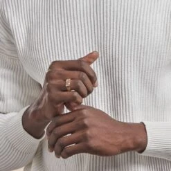 Chevalière Plaqué Or Jaune Asa Oxydes De Zirconium -Bijouterie Pas Chère FQHHJZW105 model0