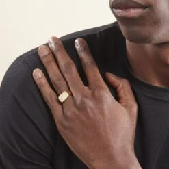 Chevalière Plaqué Or Jaune Gyorgy Oxyde De Zirconium -Bijouterie Pas Chère FQHHJZW114 model0