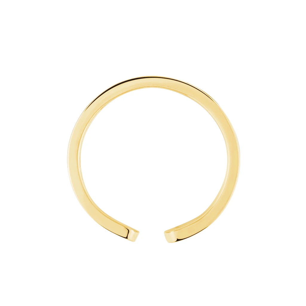 Bague Ajustable Abram Acier Doré 3 Bague Ajustable Abram Acier Doré – Image 3