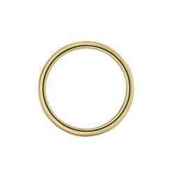 Bague Phebus Him Acier Dore -Bijouterie Pas Chère MIDHJW0167 view2