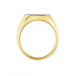 Chevalière Jourdan Veligenda Acier Doré -Bijouterie Pas Chère MIHHJW0003 view2